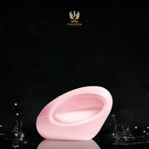Mod Blush 100ml edp