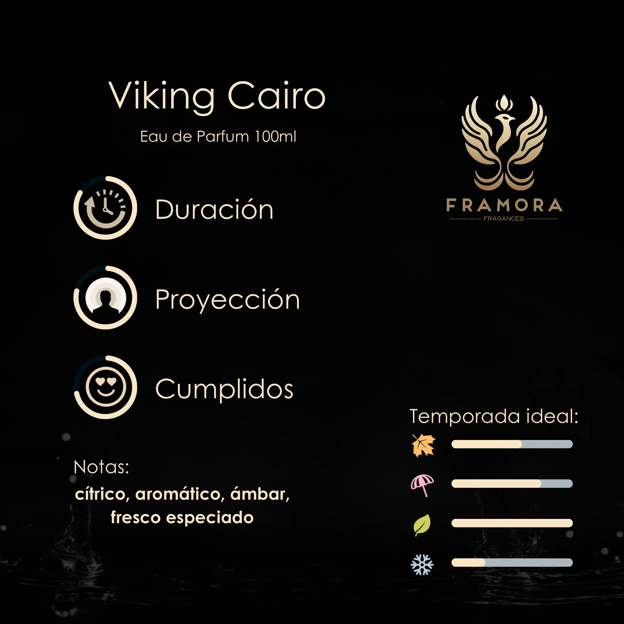 VIKING CAIRO 100ML EDP - Imagen 2