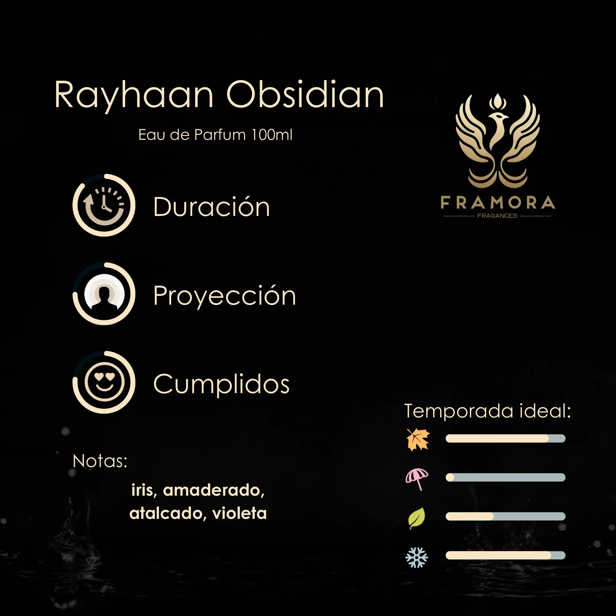 RAYHAAN OBSIDIAN 100ML EDP - Imagen 2